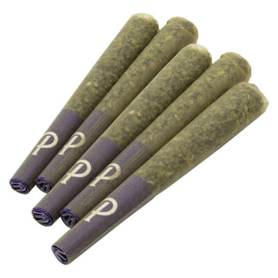 Purple Hills - Tropical Cooler Pre-Rolls