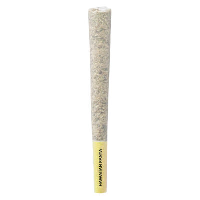 Pistol and Paris - Hawaiian Fanta Pre-Roll