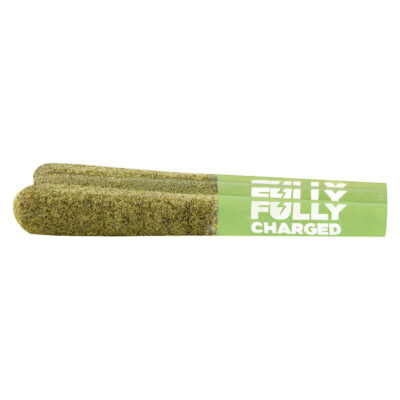 SPINACH FEELZ - Fully Charged Mango Kiwi Haze CBC Infused Pre-Roll