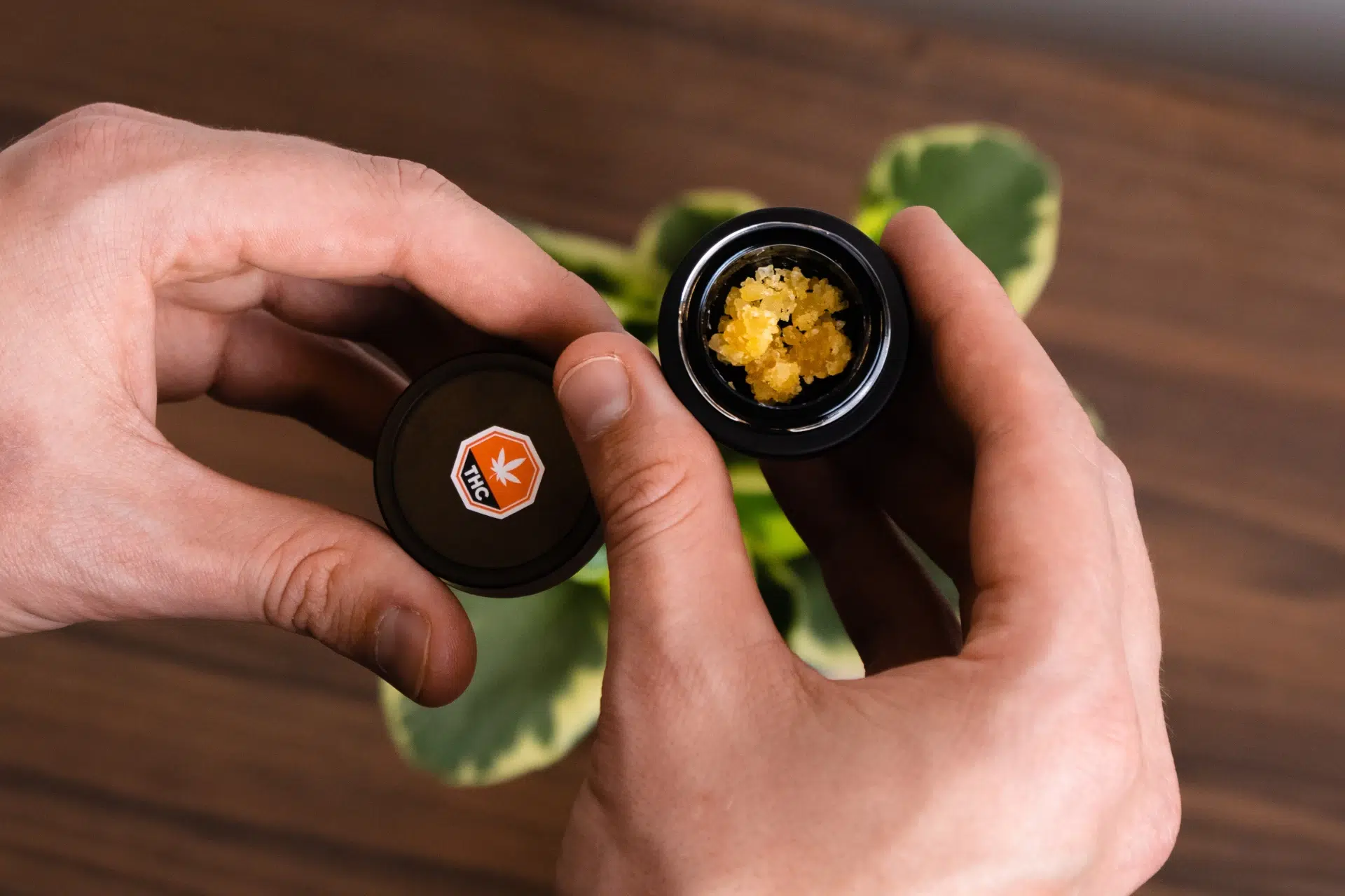 a person holding a jar of cannabis concentrates