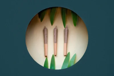 Three pre-rolls inside a gift box