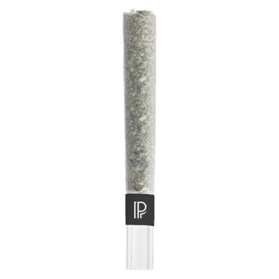 Pistol and Paris - Lindsay OG Bubble Hash Infused Pre-Roll