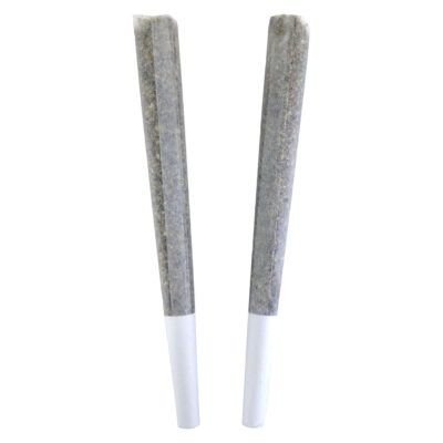 BC Doobies - Afternoon Delight Pre-Roll