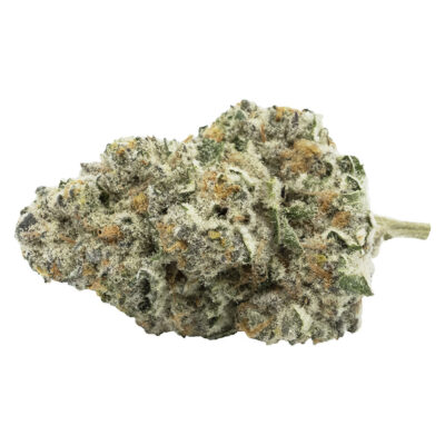 Encore - Back Stage Pass Sativa