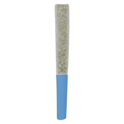 SlurpZ - Blueberry Double Infused Pre-Roll
