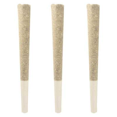 Dom Jackson - Gas Mask - Variety Pack Pre-Roll
