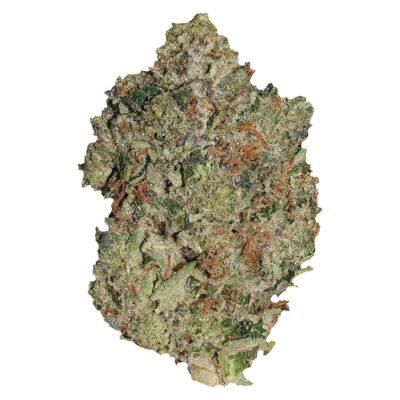 Pistol and Paris - Lindsay OG