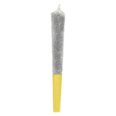 Potluck - Juicy Jungle Fruit Infused Pre-Roll