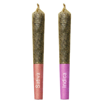 High Priestess - Gemini Sun and Moon Duo Pack Shatter Infused Pre-Roll