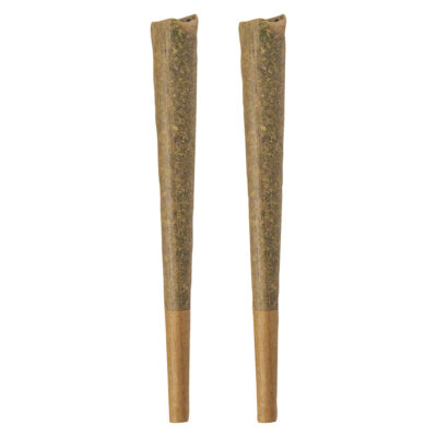 BOLD - GLAZED Sativa Pre-Roll