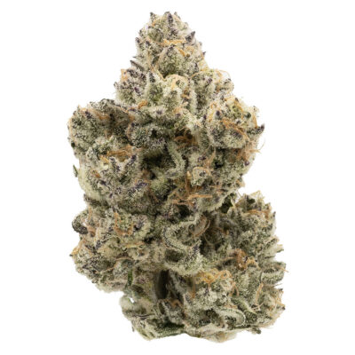 Northern Canna - The Collective Oz