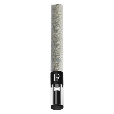 - - Pink Death Pre-Roll