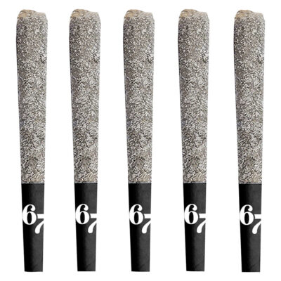 Sixty Seven Sins - 67 Sindicate Infused Pre-Roll