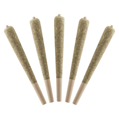 Standard Issue - Sour Green Apple Infused Pre-Roll