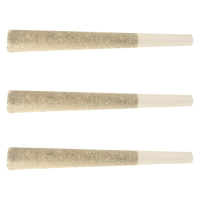 North of 28 - Apes in Space Pre-Roll