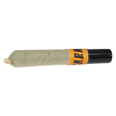 Carmel - Animal Face Ceramic Tip Pre-Roll